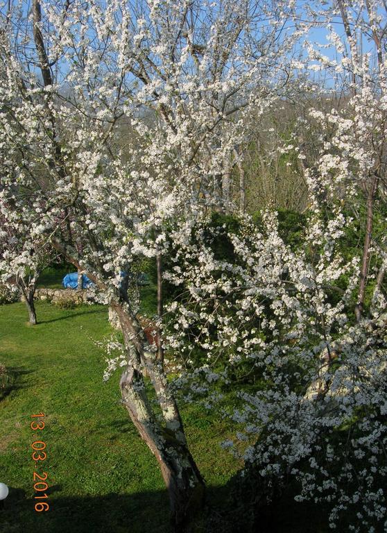 Bed and Breakfast Le Colombier Villeneuve-sur-Lot Zewnętrze zdjęcie