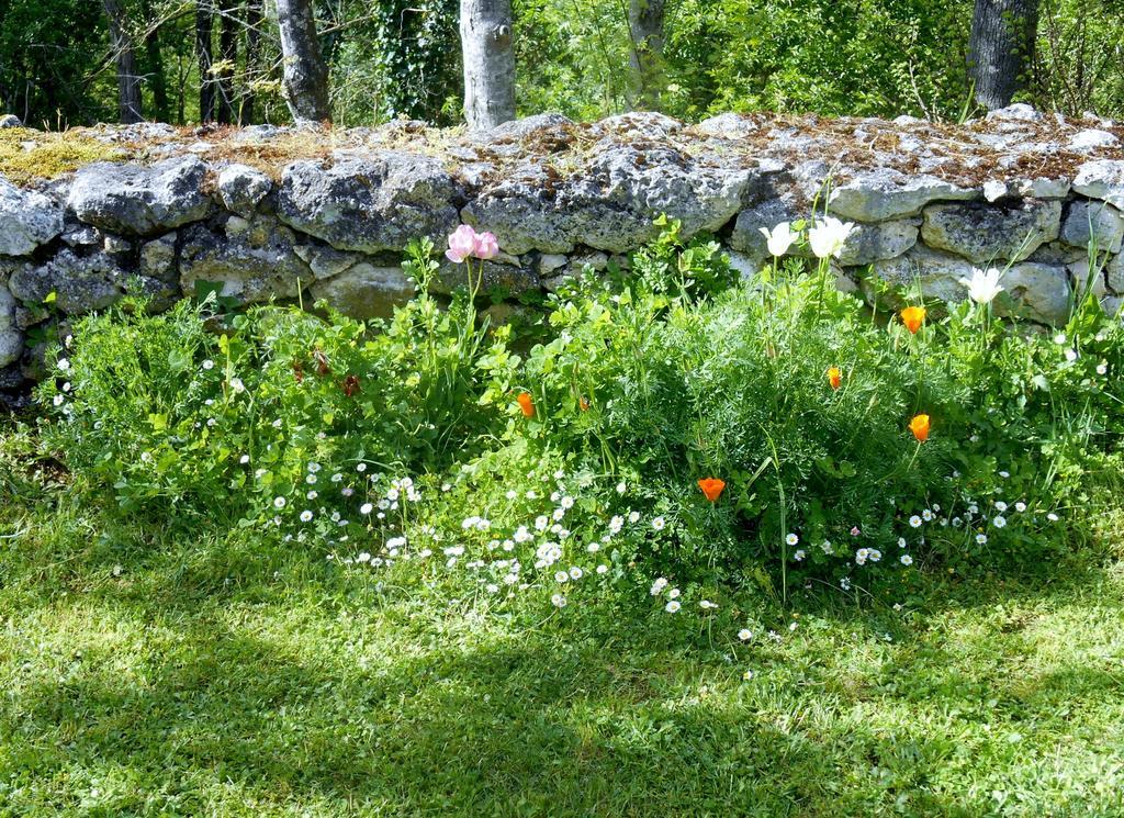 Bed and Breakfast Le Colombier Villeneuve-sur-Lot Zewnętrze zdjęcie