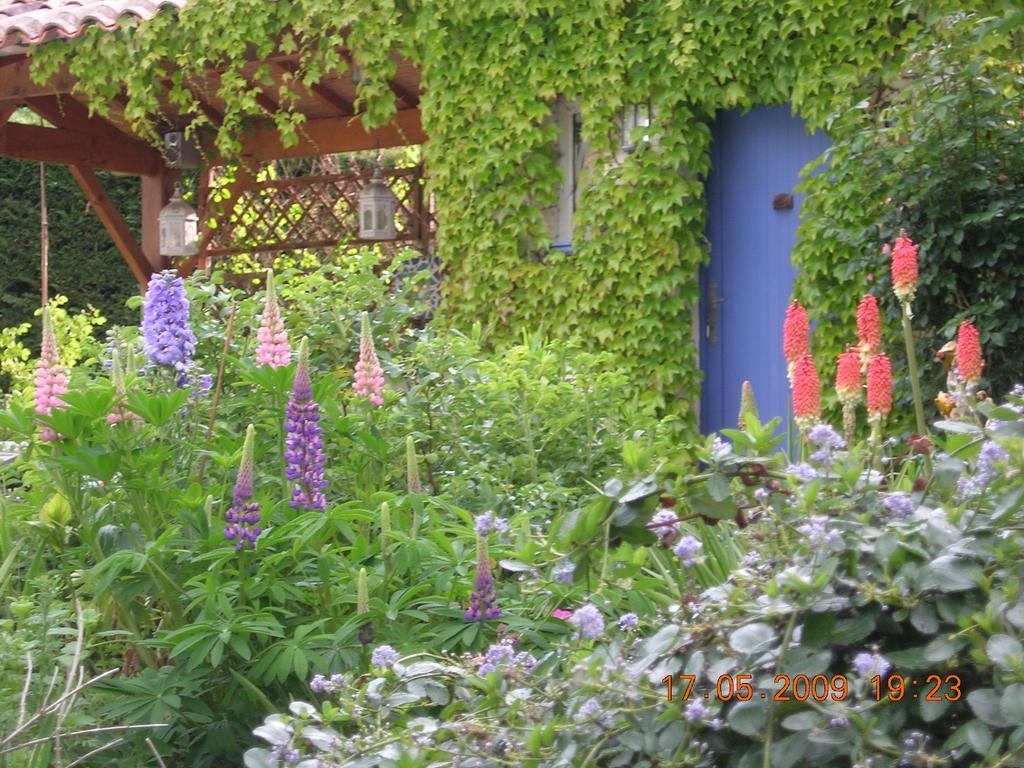 Bed and Breakfast Le Colombier Villeneuve-sur-Lot Zewnętrze zdjęcie