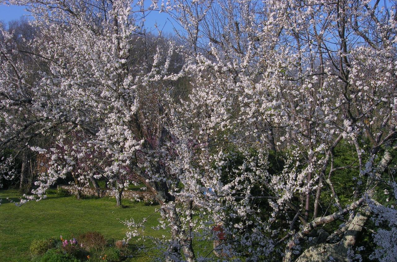 Bed and Breakfast Le Colombier Villeneuve-sur-Lot Zewnętrze zdjęcie